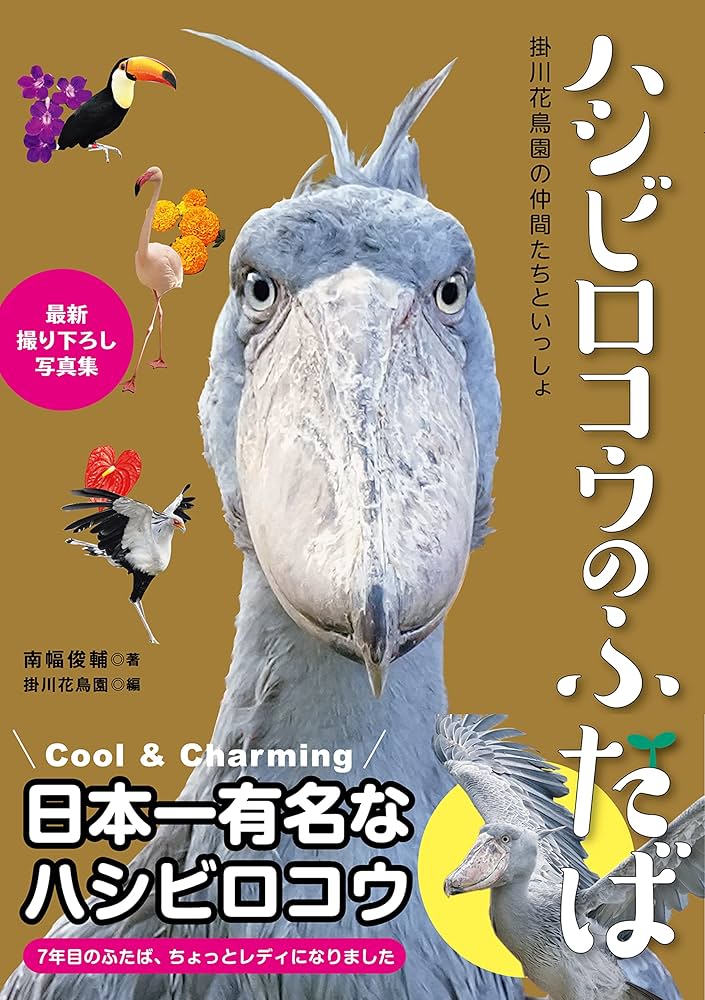 ✴︎ ♡ハシビ口コウ♡ページ Amazon.co.jp: ハシビロコウのふたば～掛川花鳥園の仲間たちと